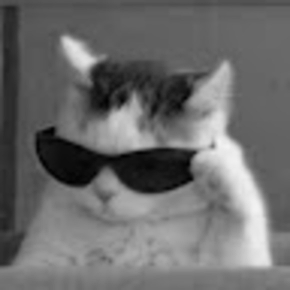 Meet your Posher, Klara - Picture 1 of 1